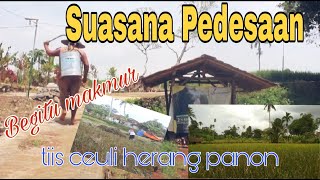 Suasana Pedesaan Sukabumi