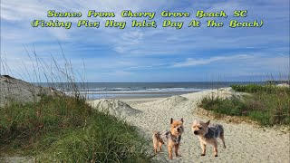 Cherry Grove Beach, SC (Miscellaneous:  Fishing Pier, Hog Inlet, Beach)