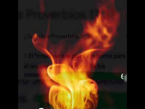 RECIBE TU PRUEBA