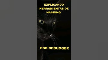 EDB Debugger✨