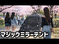 マジックミラーテントで桜キャンプした結果、こうなった