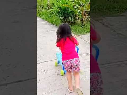 Mencari ikan Guppy & ikan warna-warni