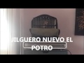 JILGUERO NUEVO EL POTRO