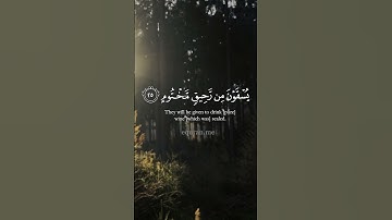 سورة المطففين - إن الأبرار لفي نعيم  (*) على الأرائك ينظرون || الشيخ  #ياسر_الدوسري