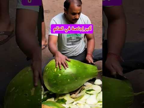 أكبر إجاصة في العالم فواكه Shorts Fruits Fruit
