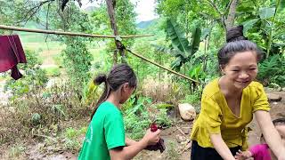 Bản Người Hoa Giữa Rừng Sâu – Khám Phá Cuộc Sống Cơ Cực và Căn Nhà Không Tưởng.