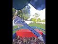 #bluejay #backyardwildlife #birdfeedercamera #soundsofnature #birdwatching #birds #everythingnature