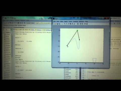 Spring/Pendulum and Projectile Motion