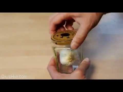 როგორ გავფცქვნათ ნიორი ხელით შეხების გარეშე წამებში?