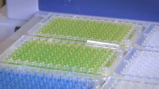 Trait Purity Testing at Eurofins BioDiagnostics