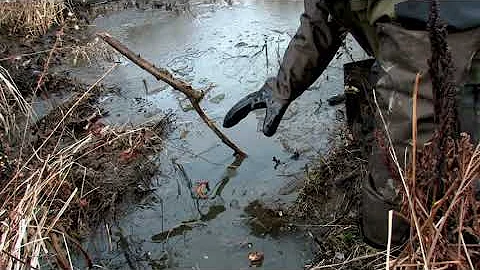 Muskrat Set with Kevin