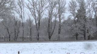 Crazy Illinois Weather - From 80 Degrees to Snow in just a few days
