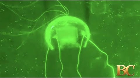 China unveils ‘ghost’ drone for stealth underwater surveillance