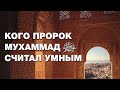 Кого пророк Мухаммад ﷺ считал умным