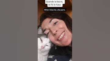 Do you like cats? Good, you