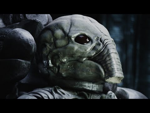 The Misted Muppet - Spiritual Visions [short edit] - YouTube