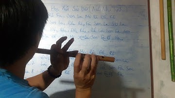 Hướng Dẫn thổi sáo bài / Nữ Nhi Tình/ Tây Lương Nữ Quoôc