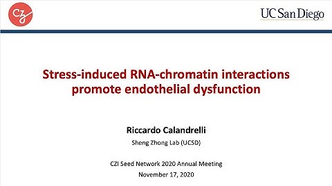 Stress-induced RNA-chromatin interactions promote endothelial dysfunction