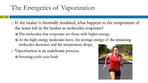 11.5 Vaporization & Vapor Pressure