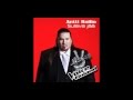Antti Railio - Sulava jää