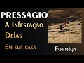 🏡 Infestação de Formigas em casa - Mensagem Espiritual