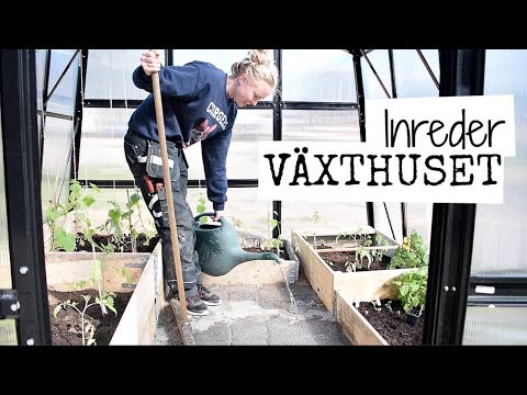 Video: Hur Man Kan Förbättra Produktiviteten För Växthus Och Växthus