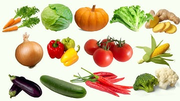 Dạy bé học các loại rau củ quả quen thuộc tiếng Việt và Anh