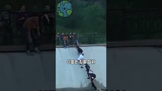 강아지를 구하기 위해 사람들이 만들어낸 기적 #구조 #감동