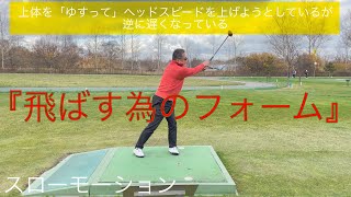 パークゴルフ　ボールを飛ばす為のスイング #parkgolf #パークゴルフ #ナゾＰＧ