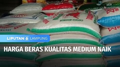 Harga Beras Kualitas Medium Naik | Liputan 6 Lampung