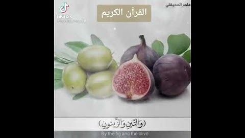 حالات واتس اب سوره التين والزيتون