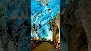 Bạch Hoàng Travel