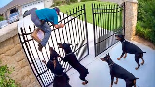 💥 When Package Thieves Get Instant Karma | Dumbest Criminals Caught on Camera #13