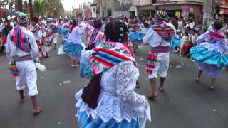 LURIGUAYO*YUNGUYO AYMARA*TACNA*2012