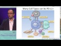 Keynote Lecture 3: Understanding the relevant immune mechanisms in GI cancer