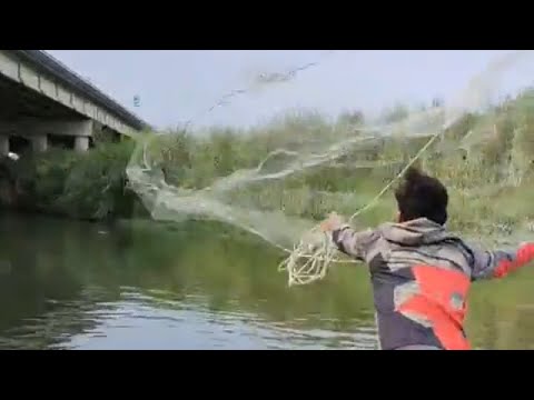 Unbelievable and usful Fish Catch! Incredible Cast Net Fishing #castnet ...