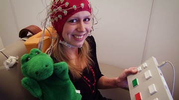 Eye tracking tools in Cognitive Brain Laboratories