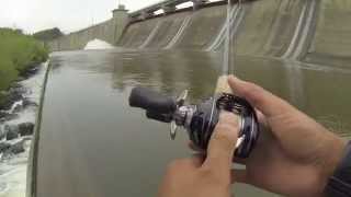 Saugeye and Buffalo Carp Fishing at Hoover Dam