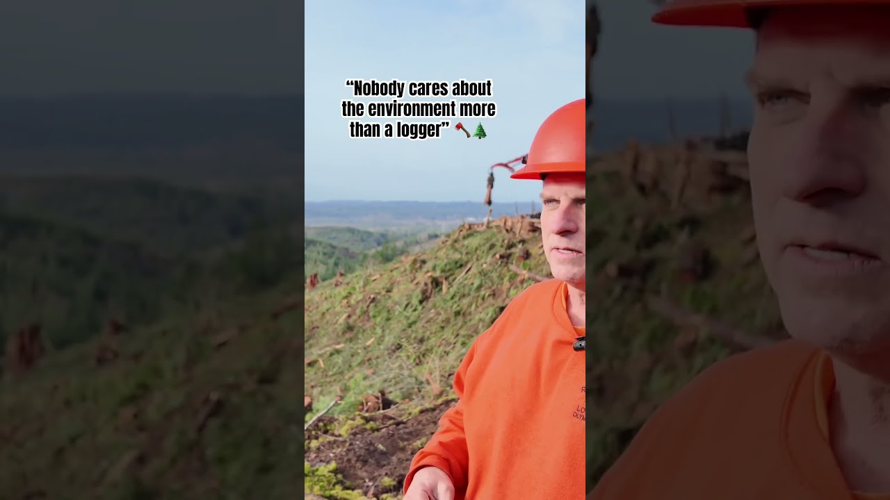 Trump Just Backed The Loggers Here S Why It Matters WoodWorld