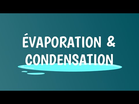 Vidéo: Différence Entre L'évaporation Et La Condensation