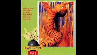 Dance Explosion Vol. 2 (1994)