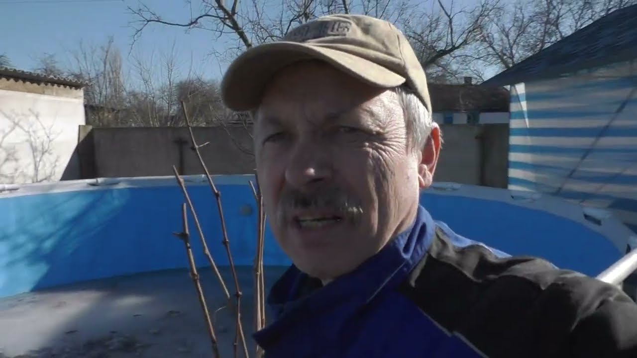 10 березня, + 18 тепла, чи варто щось робить на вкритому винограднику