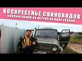 ВОСКРЕСЕНЬЕ СВИНОВОДОВ ( Отдых - Баня - Собираем Грибы ) | Сколько нужно кв.метров на одну Свинью