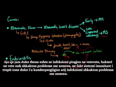 Video: Hjerteventilinfektion (infektiv Endokarditis) Hos Hunde