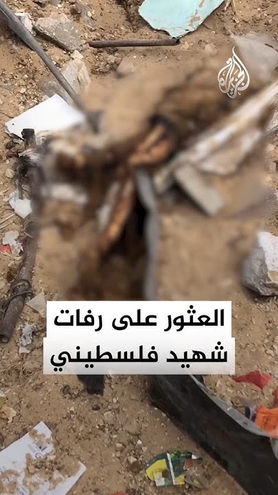            
 - نشر قبل 17 دقيقة