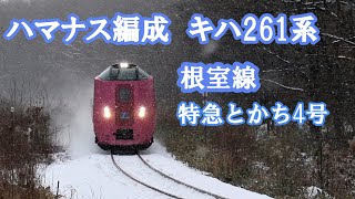 キハ261系特急とかち4号（ハマナス編成）　雪が降る中を走る　2022年12月4日