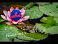 EP 38 - Froschfunk feat. @amaya_julie