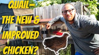 Quail—The New and Improved Chicken? | 7 Things I Learned About Raising Quail