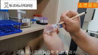 강동 제니트비뇨의학과 소변을 이용한 성병검사