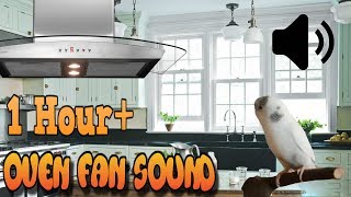 Oven Fan sound to Tame your Budgies (1 Hour+) by Nicxx2 1,989 views 5 years ago 1 hour, 4 minutes